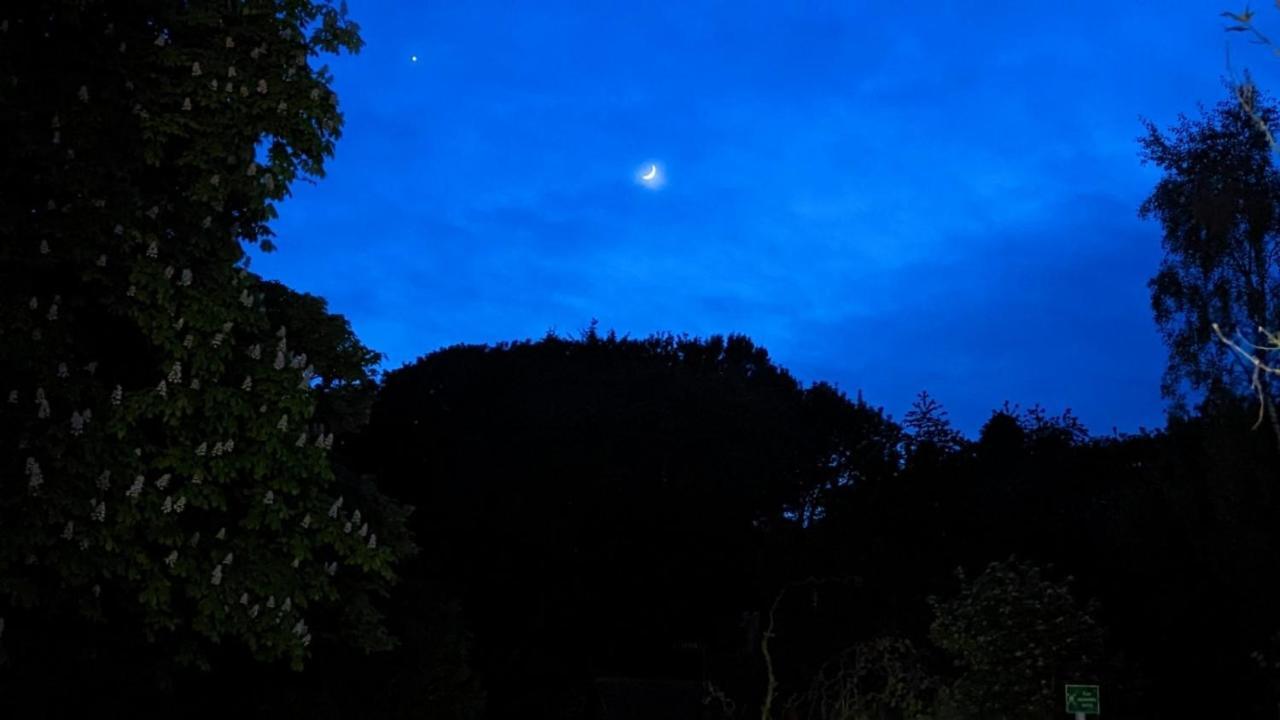 ホテル Cober Hill スカーバラ エクステリア 写真