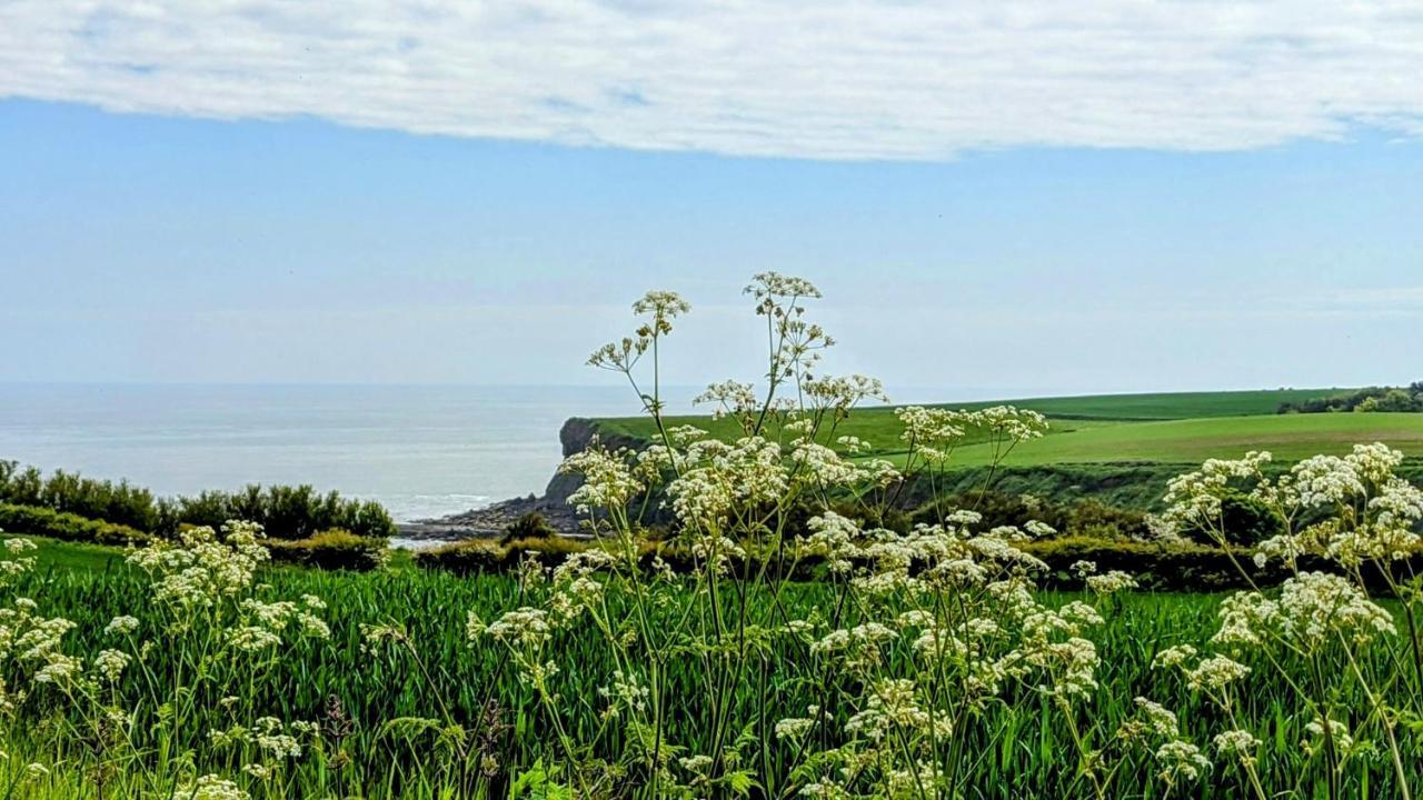 ホテル Cober Hill スカーバラ エクステリア 写真